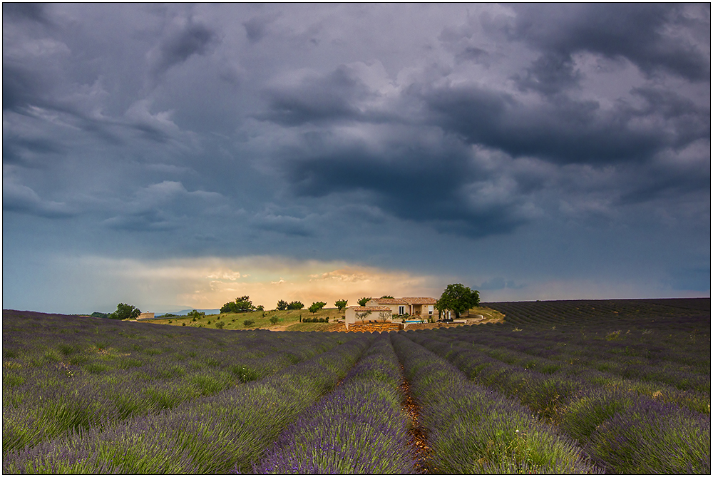 Plateau de Valensole