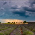 Plateau de Valensole