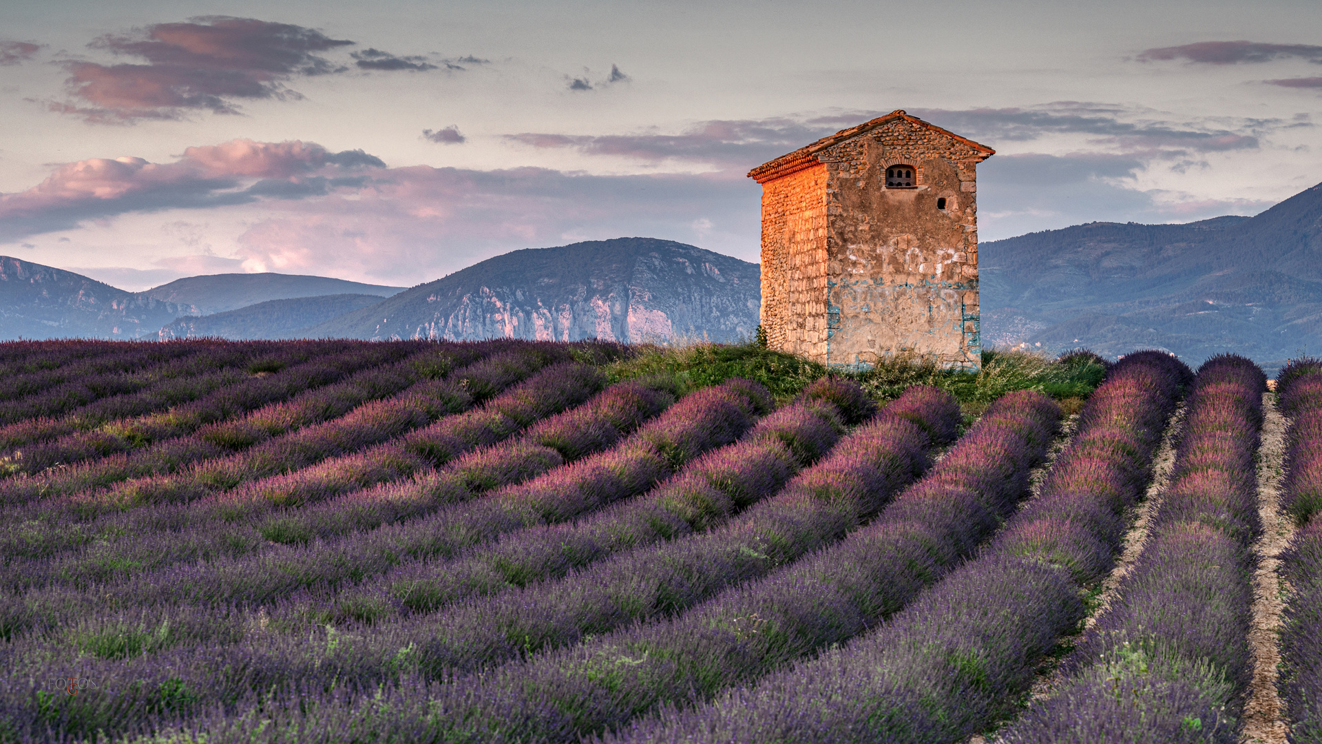 Plateau de Valensole