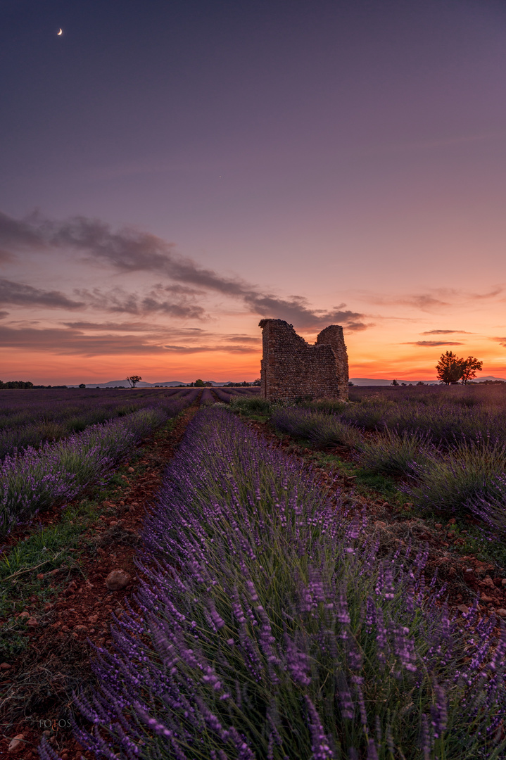 Plateau de Valensole