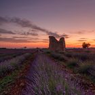 Plateau de Valensole