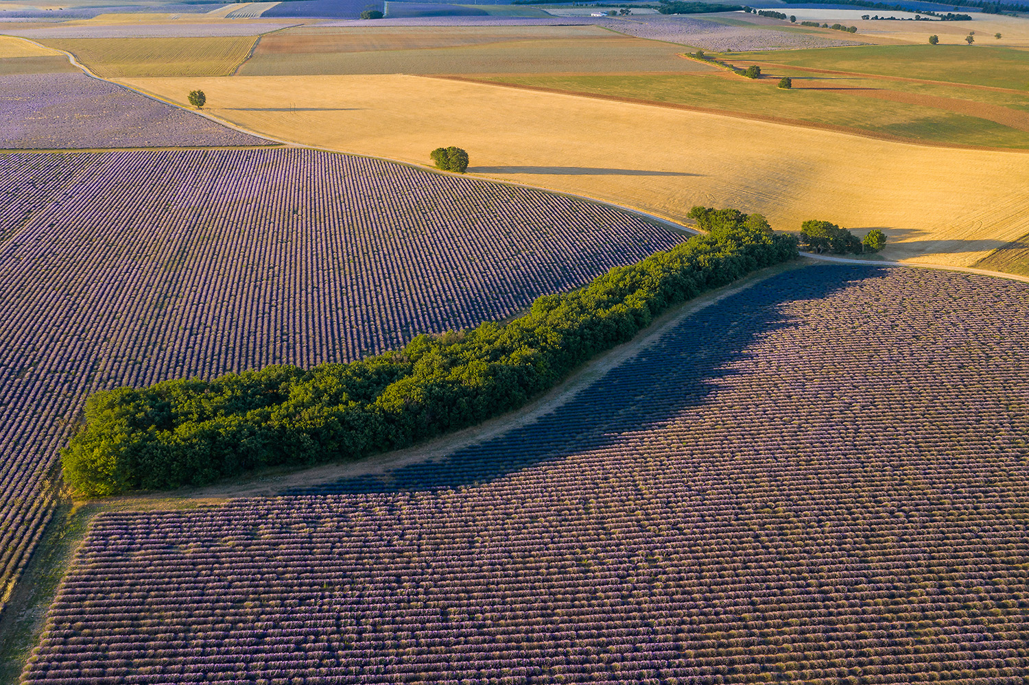 Plateau de Valensole von oben