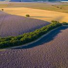 Plateau de Valensole von oben