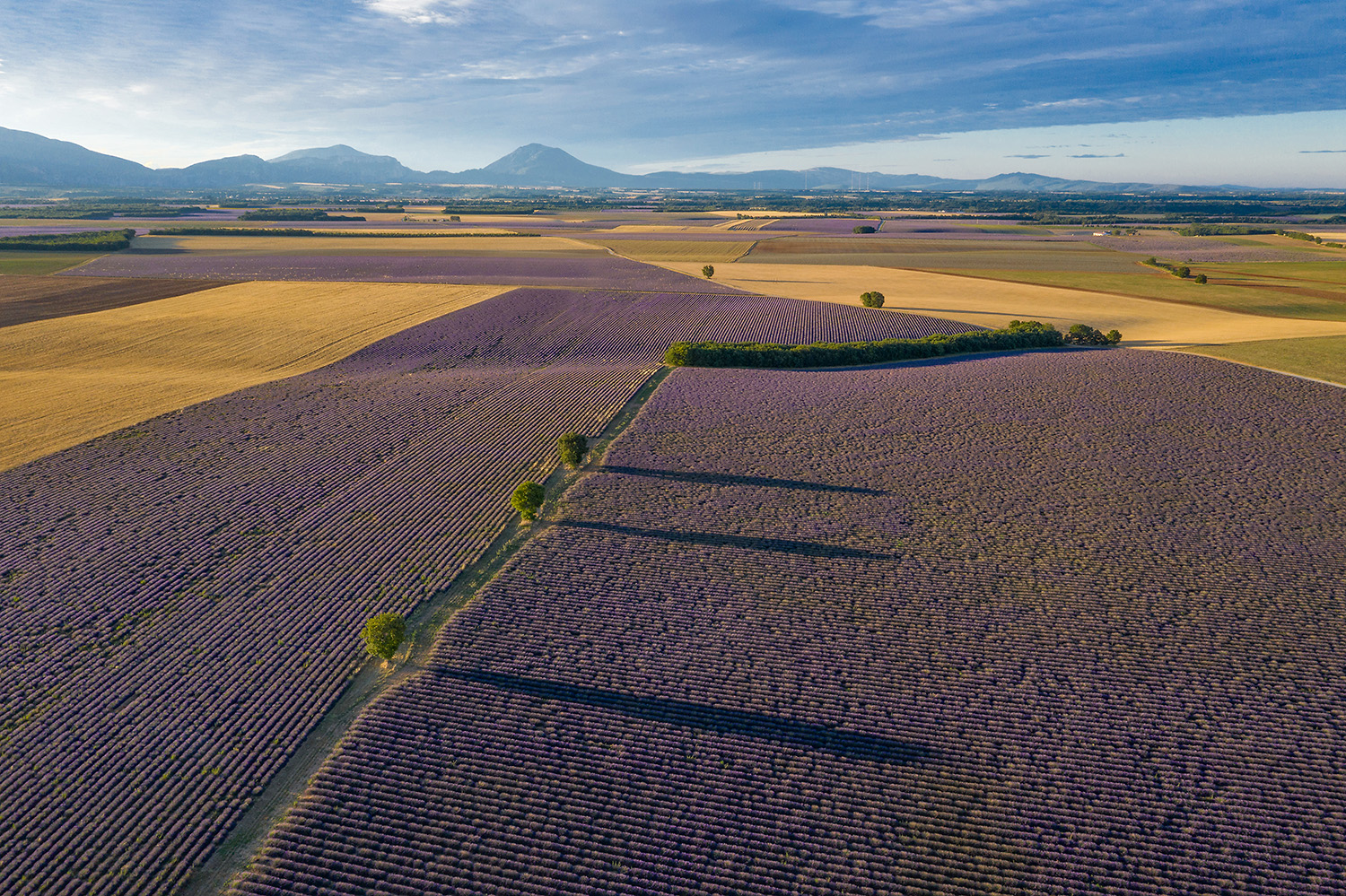 Plateau de Valensole von oben (II)