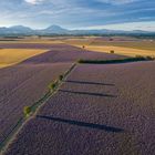 Plateau de Valensole von oben (II)