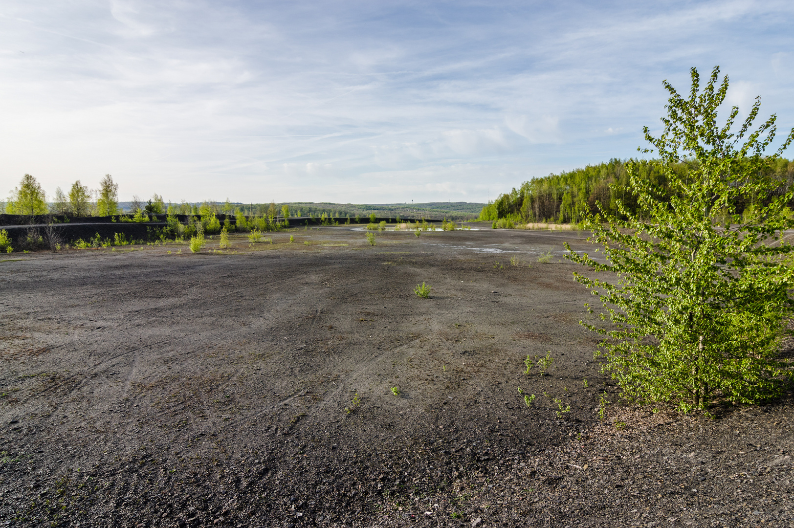 Plateau der Halde Lydia Camphausen 