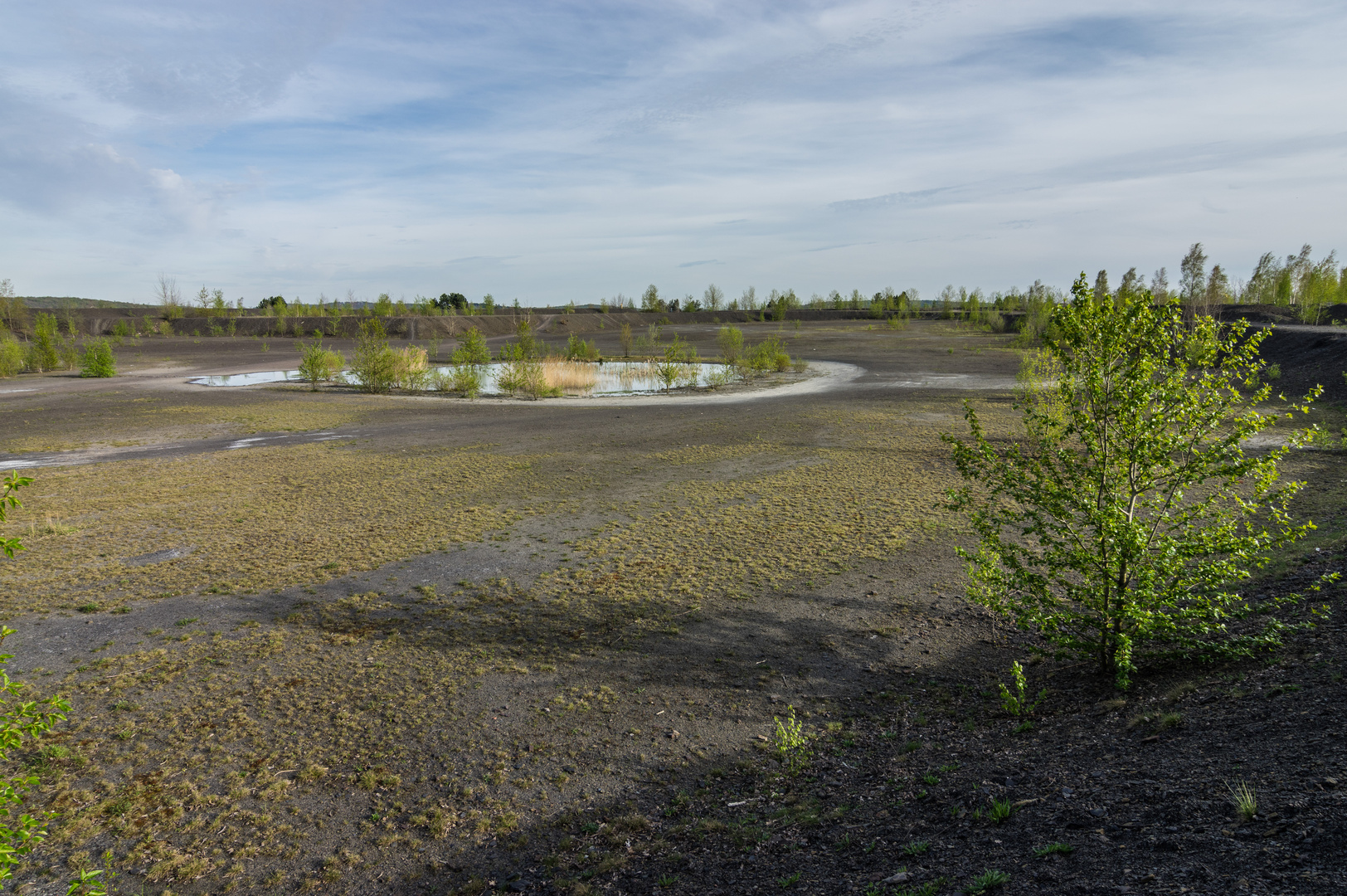 Plateau der Halde Lydia Camphausen