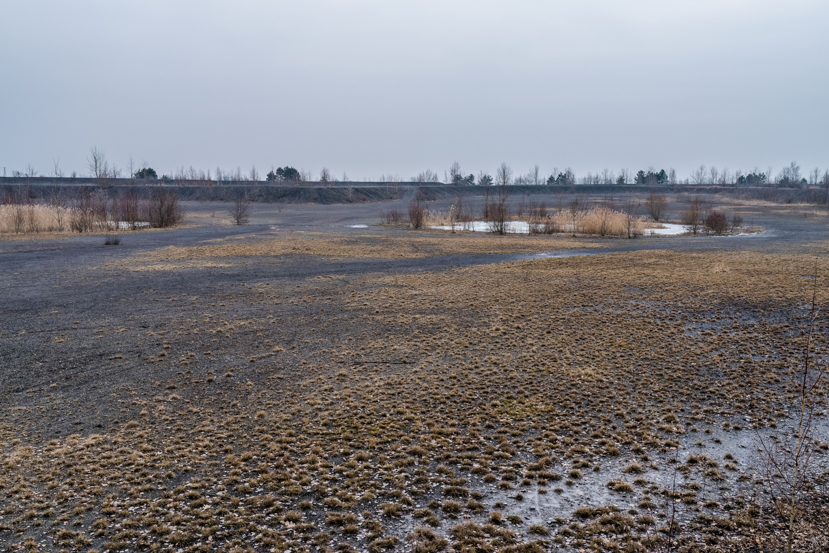 Plateau der Halde Lydia Camphausen