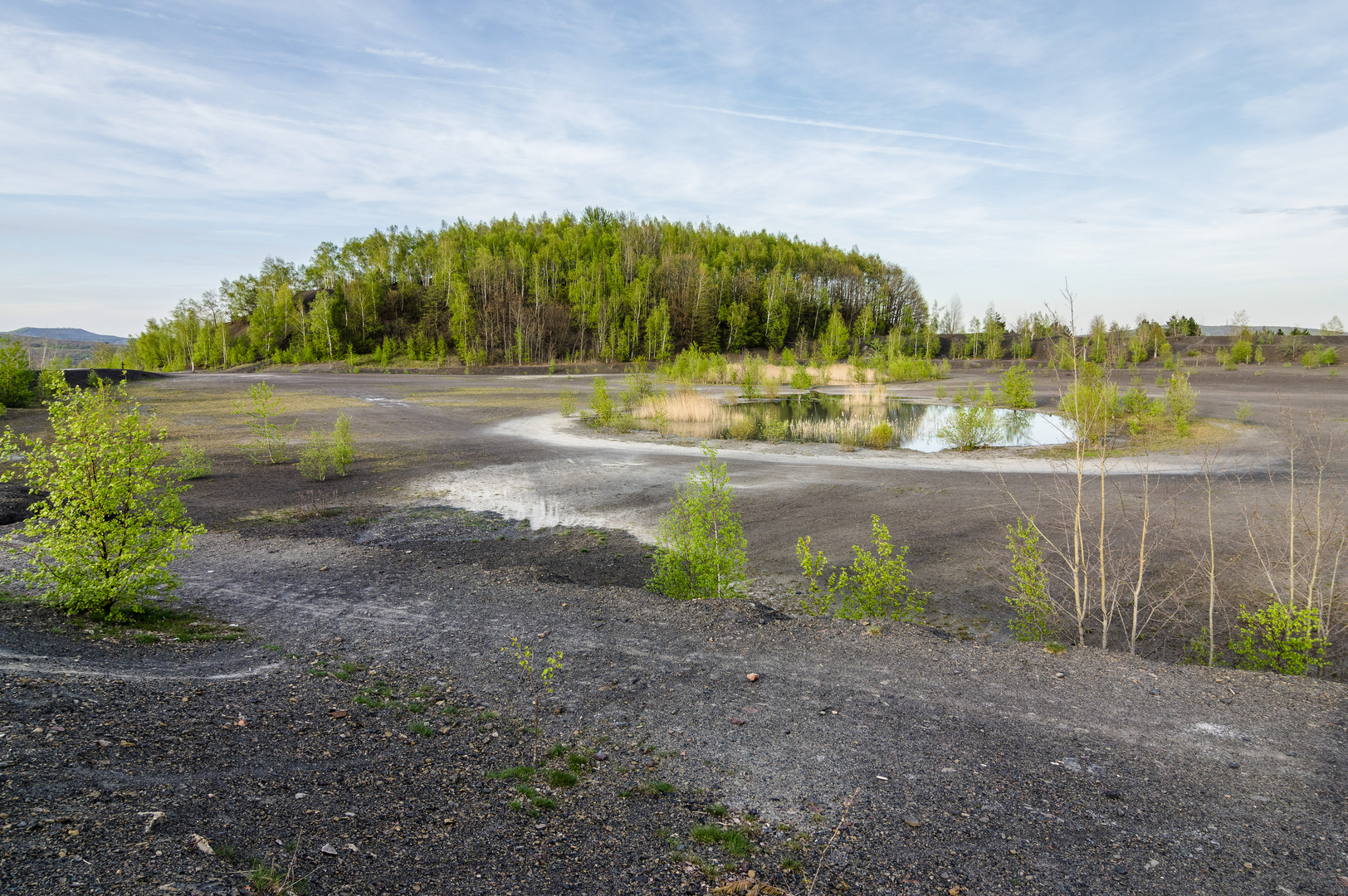 Plateau der Halde Lydia Camphausen