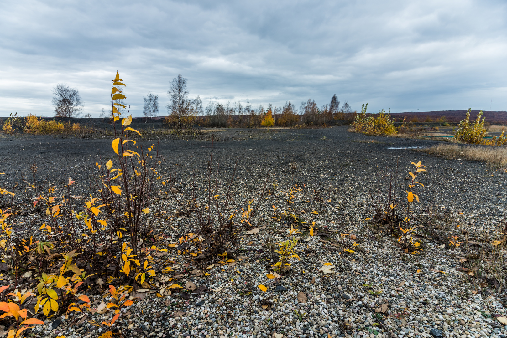 Plateau der Halde Lydia Camphausen (Saarland) (2)