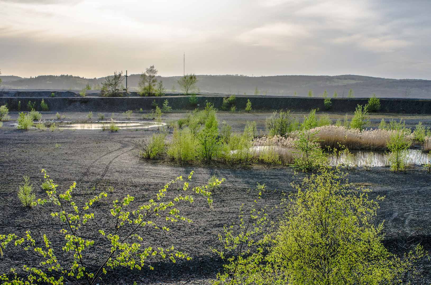 Plateau der Halde Lydia Camphausen (Saarland)