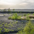 Plateau der Halde Lydia Camphausen (Saarland)