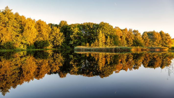 Plateau des Mille Étangs 32