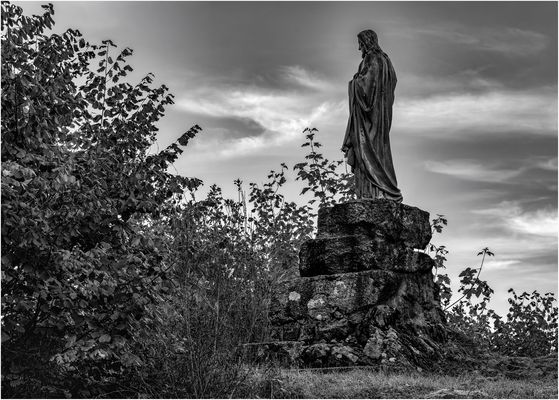 Plateau des Mille Étangs 43