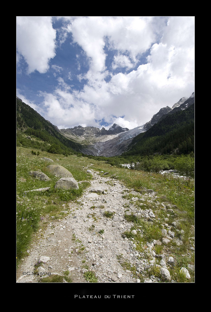 Plateau du Trient