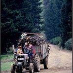 plateau-giresun-turkey