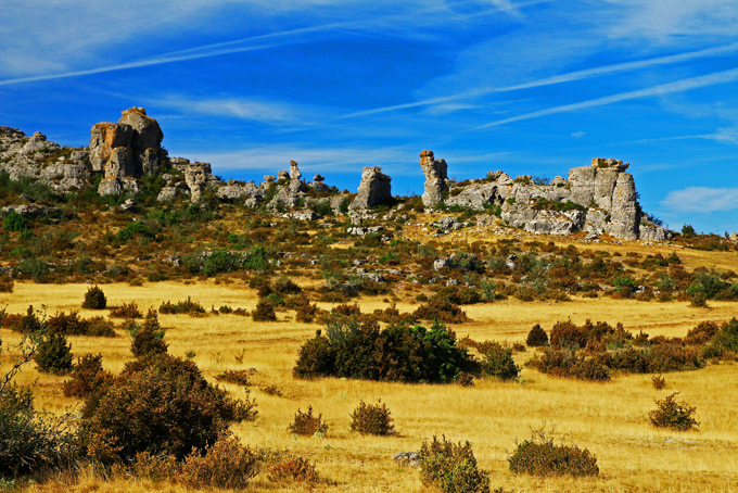 Plateau Larzac,France