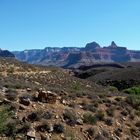 Plateau Point Trail