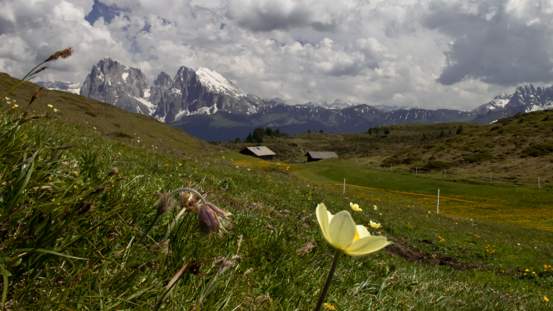 Plateau ( Seiser Alm)