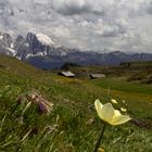 Plateau ( Seiser Alm)