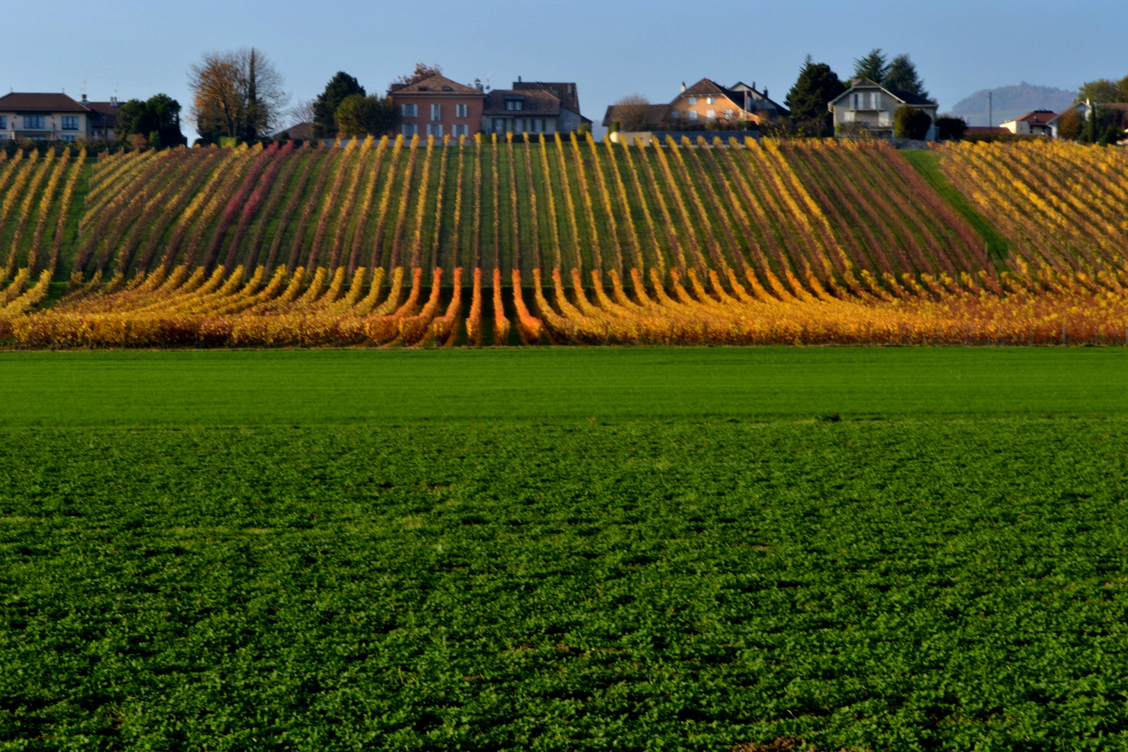 Plateaux suisses