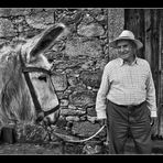 Platero y yo