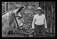 Platero y yo