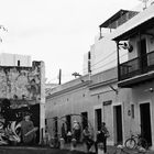 Fotos publicadas