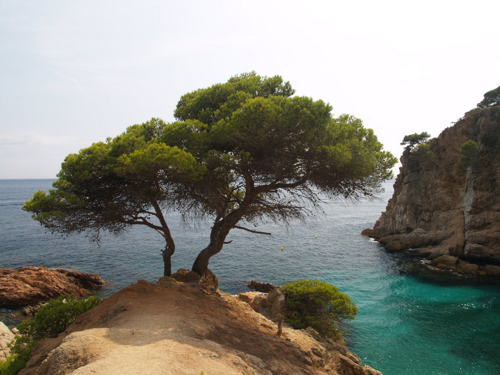 Platja de Castell 5