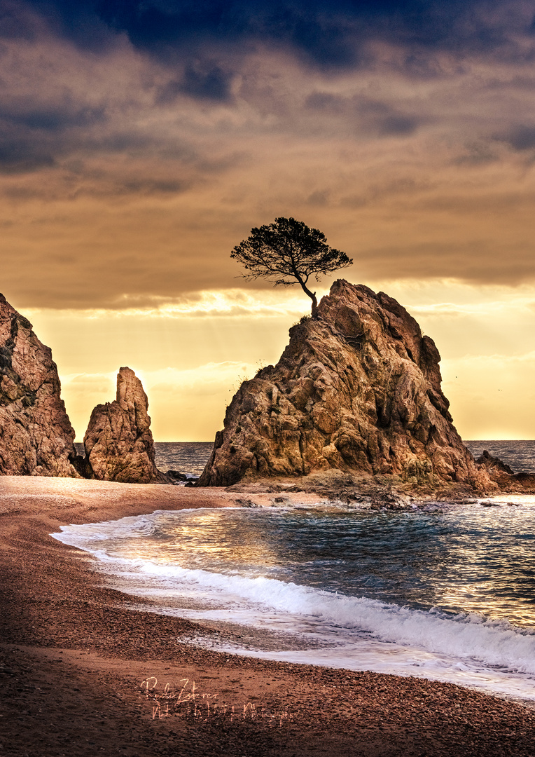 Platja de la Mar Menuda