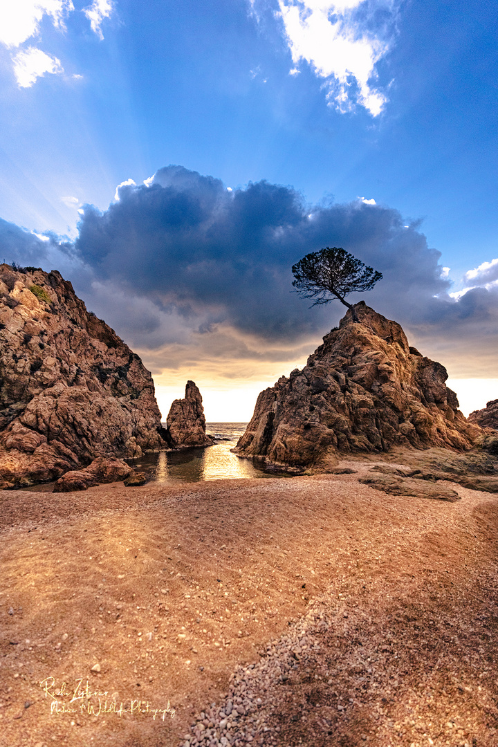 Platja de la Mar Menuda