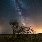 Platja de la Marquesa, Delta de l'Ebre.