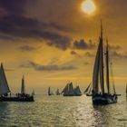 Plattbauchschiff Regatta auf dem Ijsselmeer