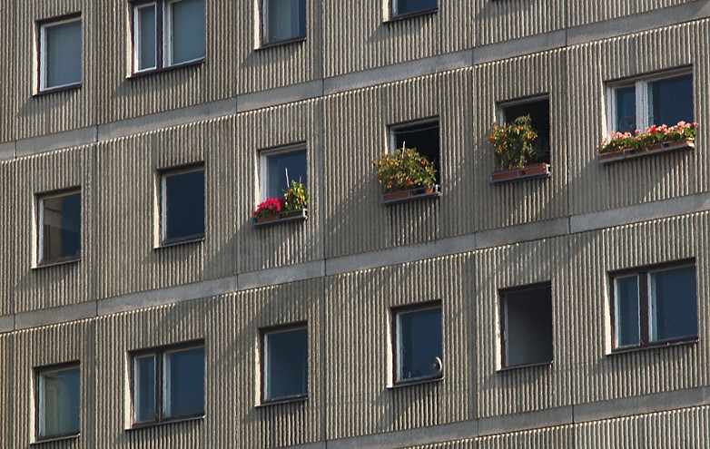 Platte! – Berlin Alexanderplatz.