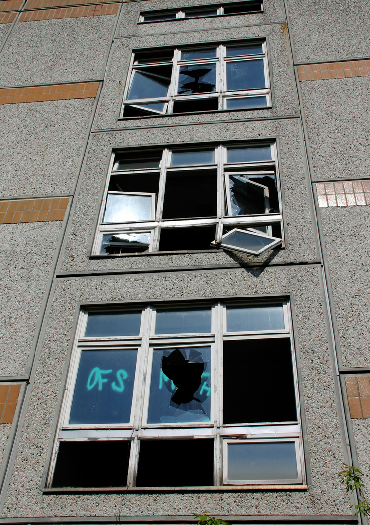 Platte mit Fenster