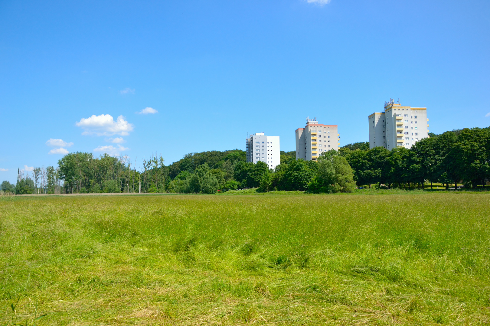 Plattenbau in der Natur