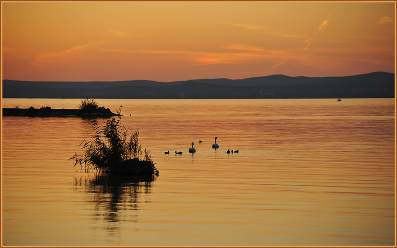 Plattensee