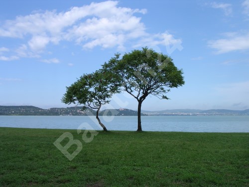 Plattensee - Blick auf Tihany