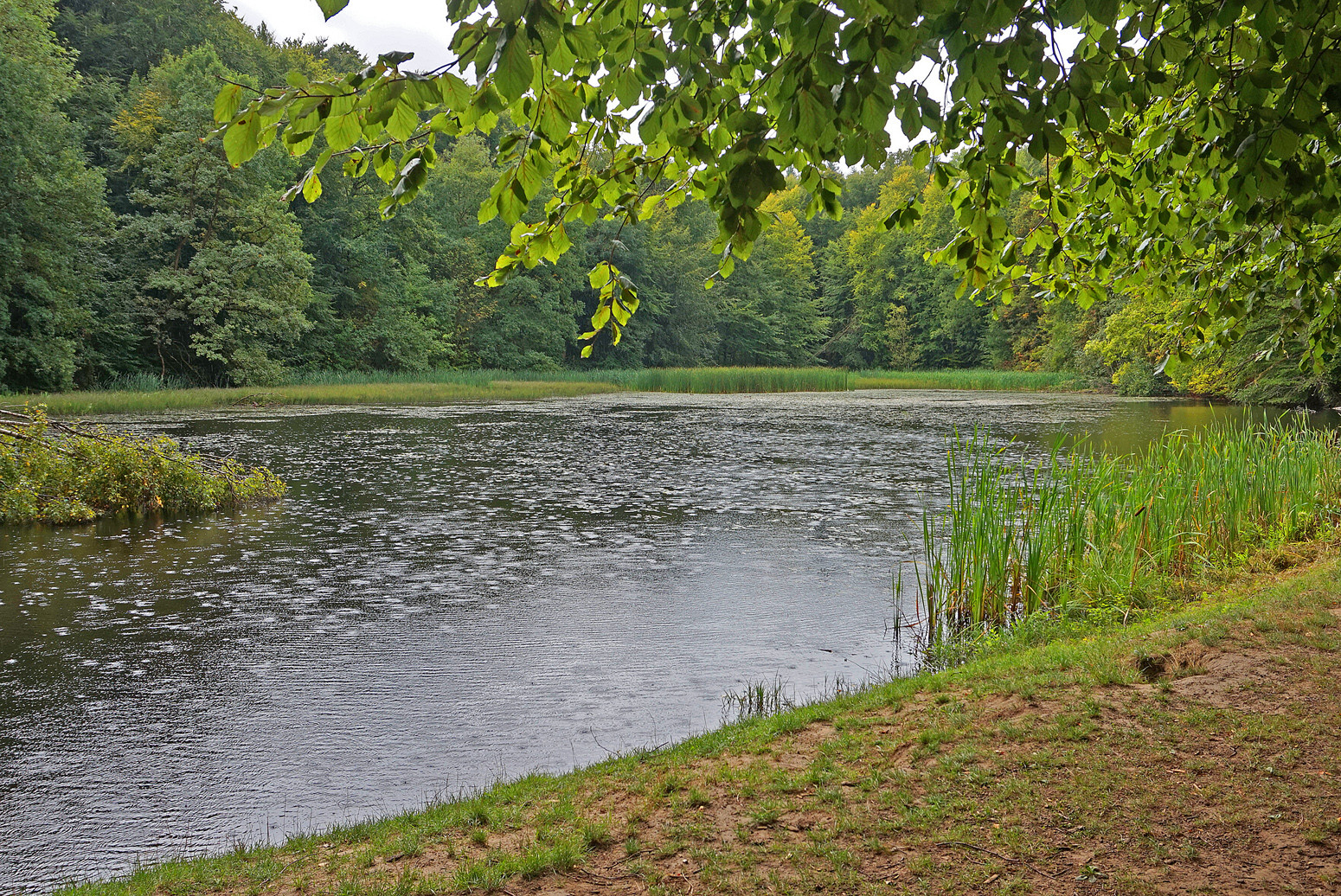 Platterwetter am Fischteich