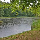 Platterwetter am Fischteich