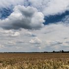 Plattes Land in Oberbayern