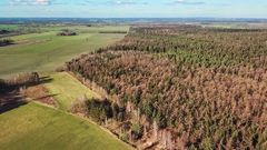 Plattes Land und Wald