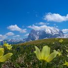 Plattkofel (2969 m)