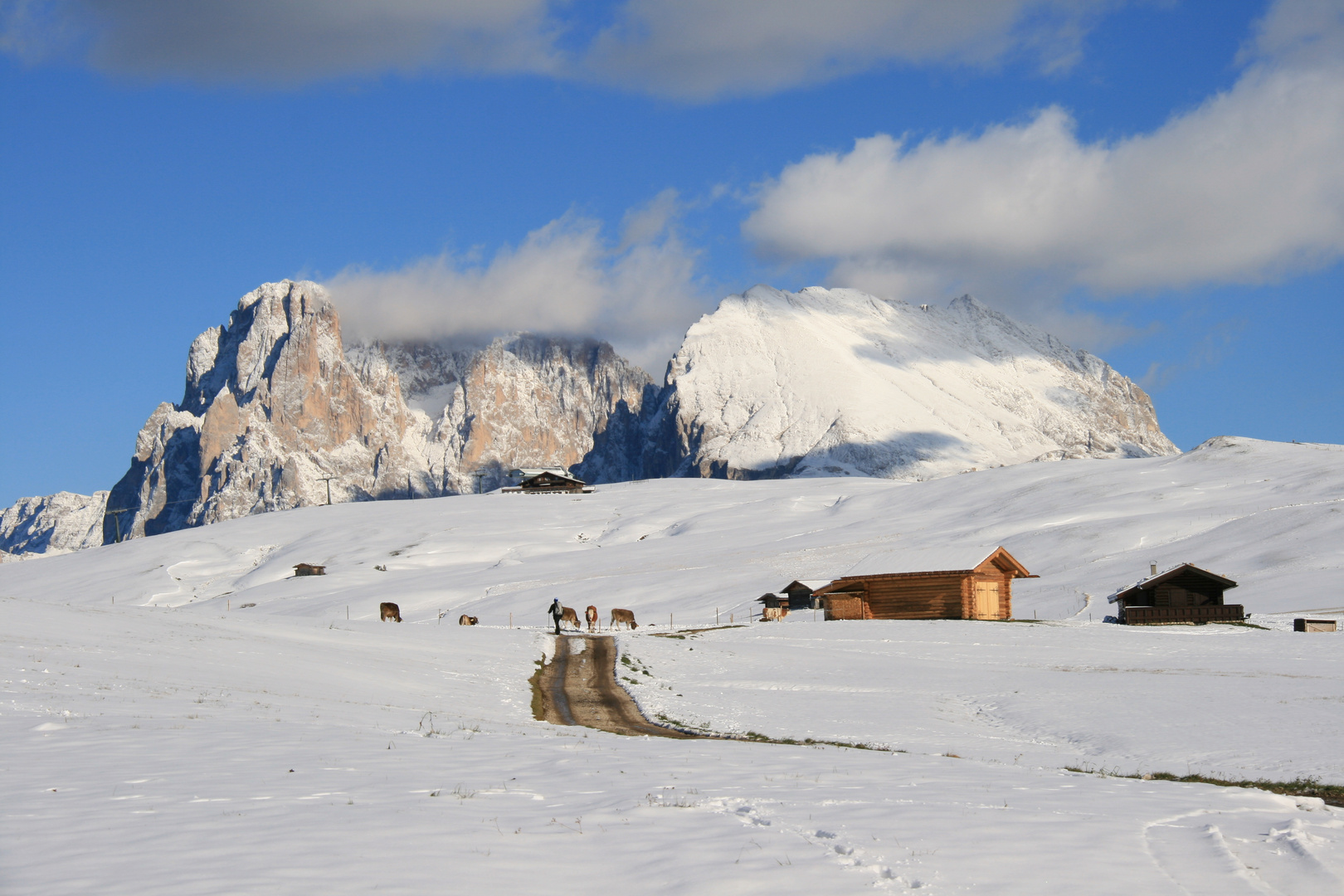 Plattkofel mit Sella im Hintergrund