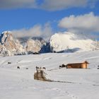 Plattkofel mit Sella im Hintergrund