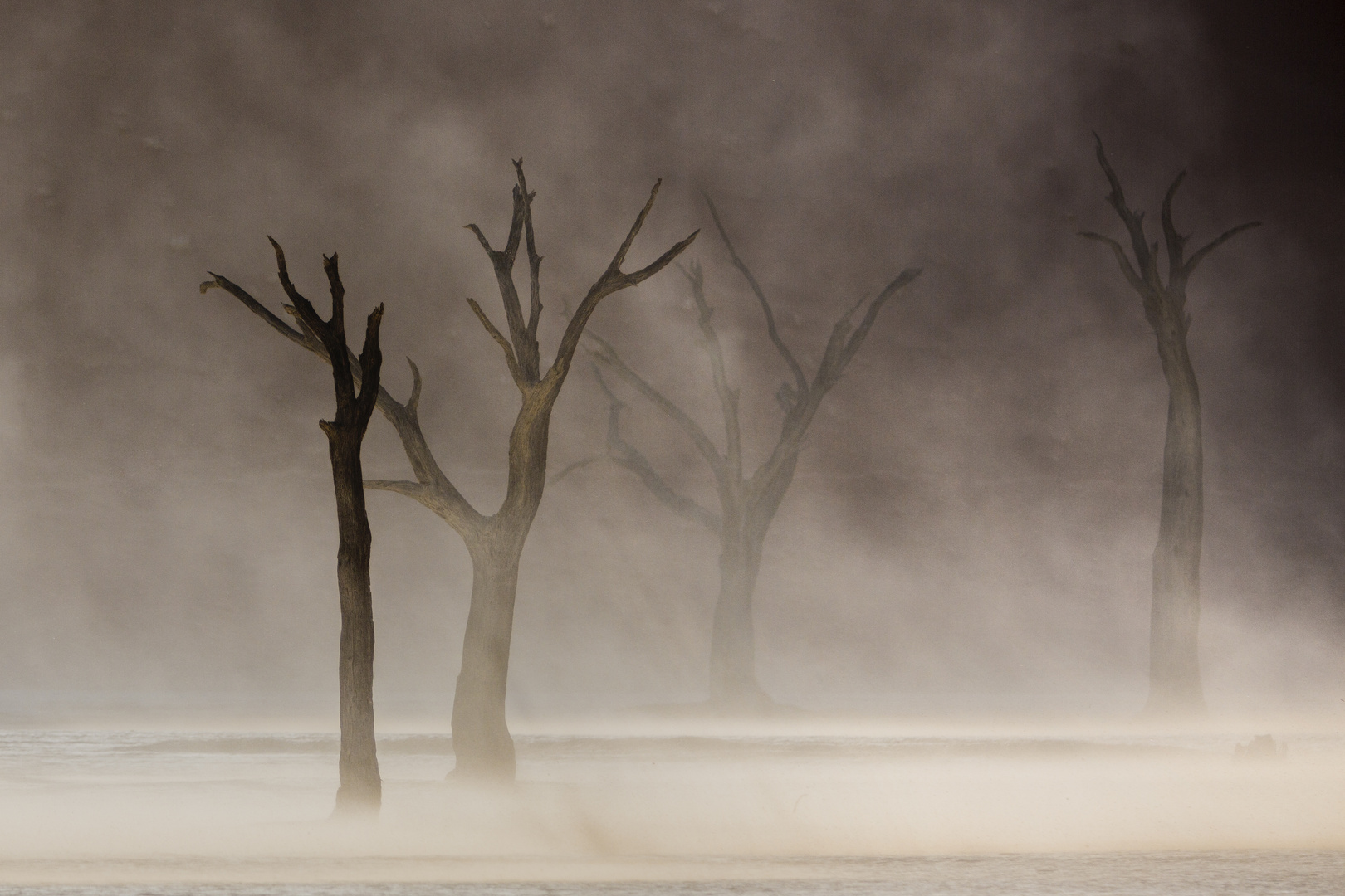 Platz 2 Sandstorm at Dead Vlei