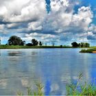 Platz an der Elbe