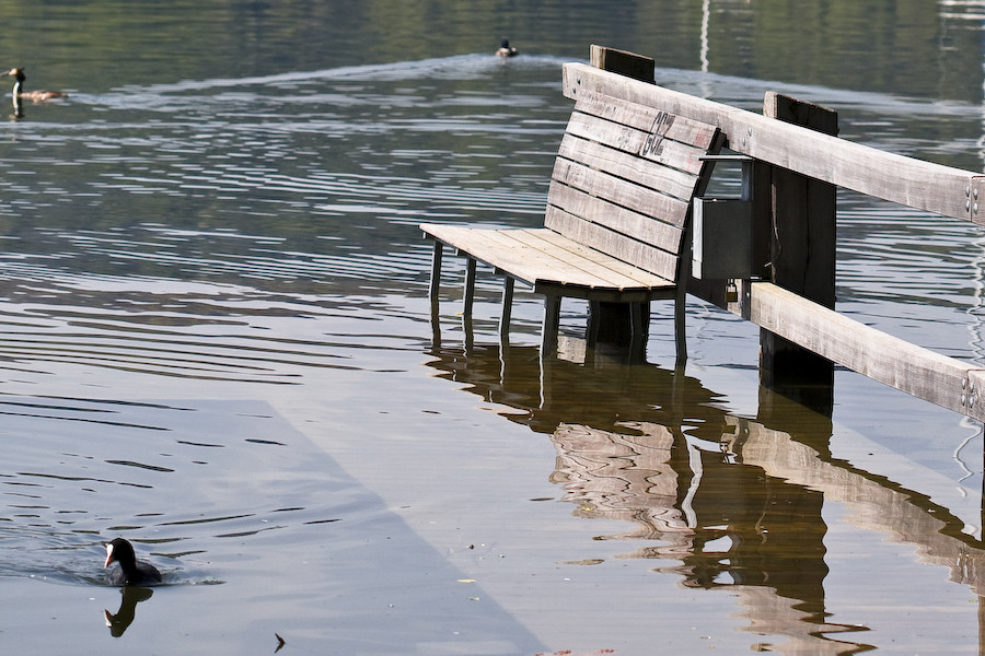 Platz an der Sonne