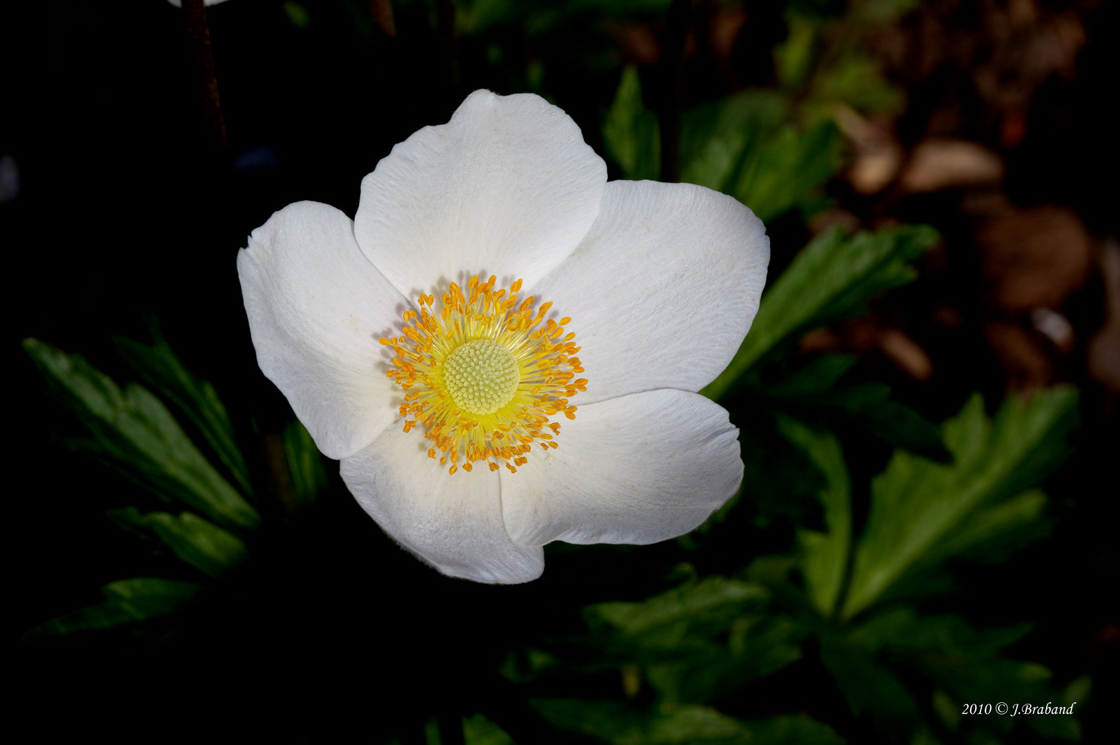 Platz an der Sonne