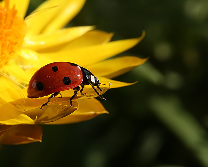 platz an der sonne